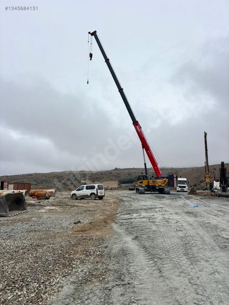65 ton paletli teleskopik vinç